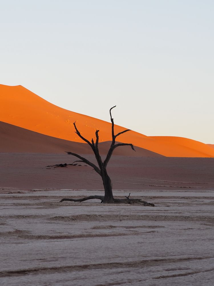 Photograph by Павел Сазанов