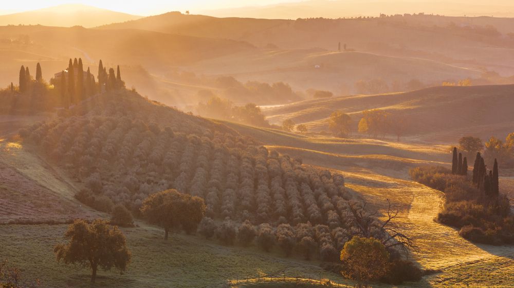 Photograph by Елена Захарова