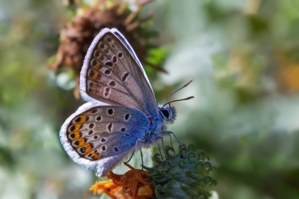 Photograph by Михаил Нижников