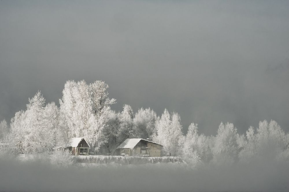 Photograph by Ирина Бородина