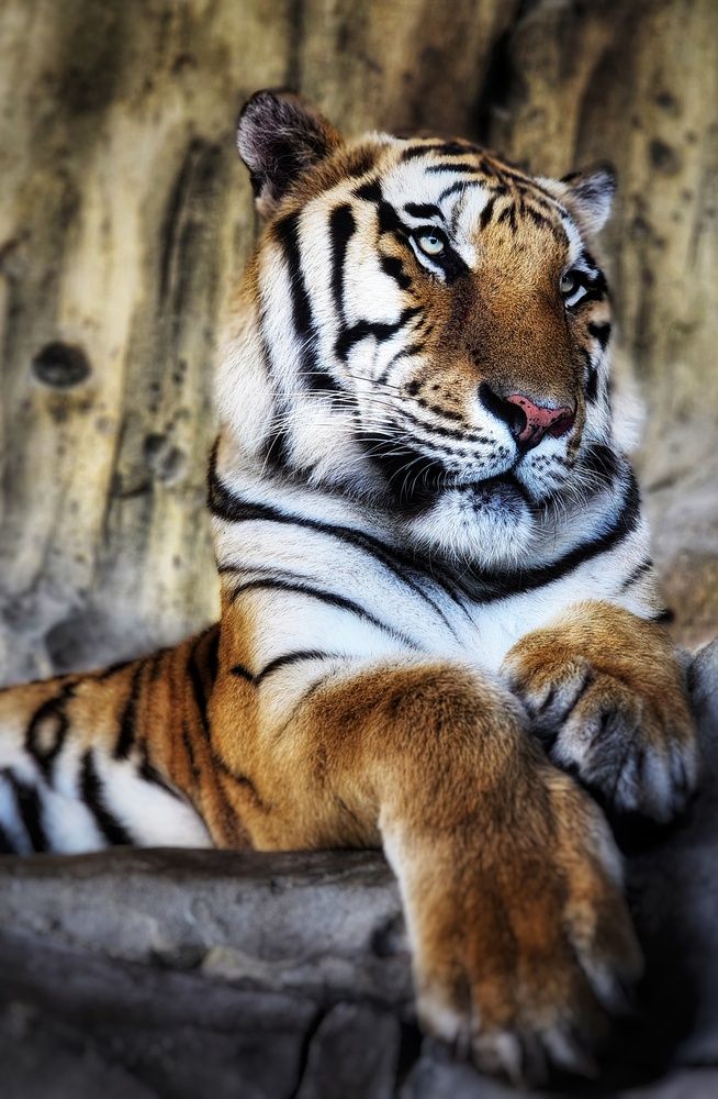 Photograph by Lera Mingova