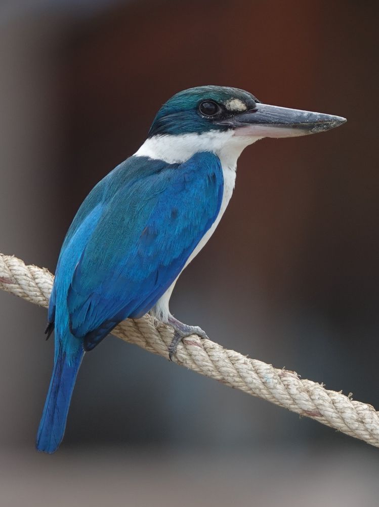 Photograph by Валерия Ковалева