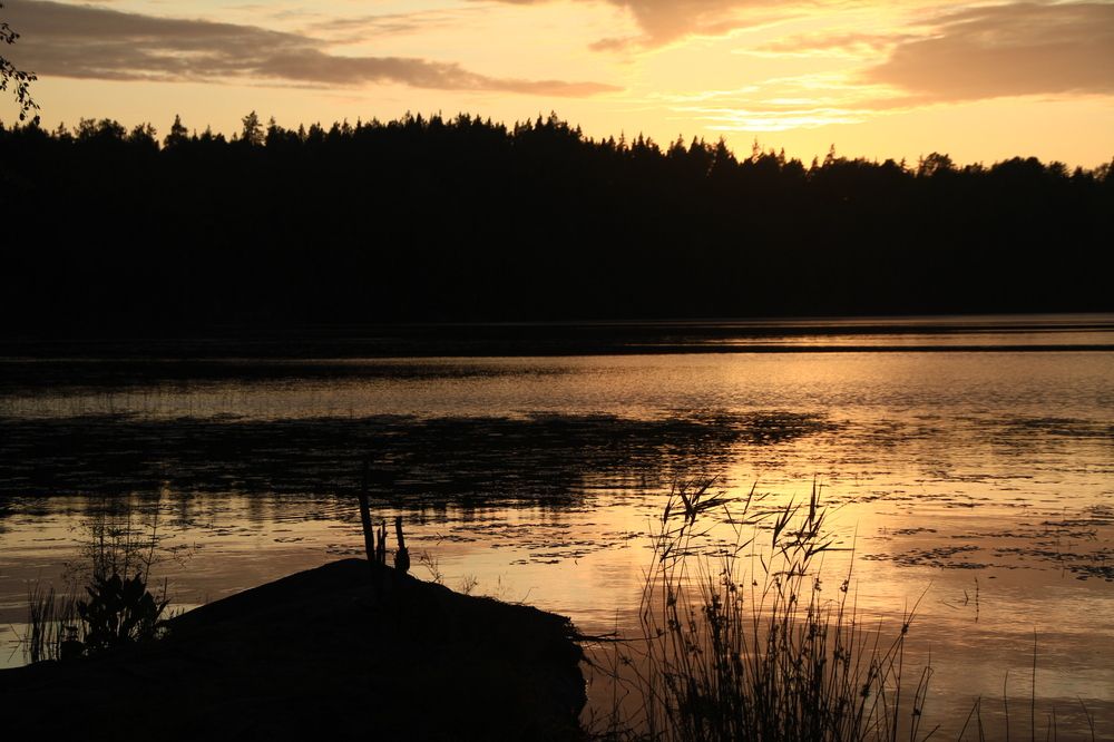 Фотография автора Анастасия Зверева