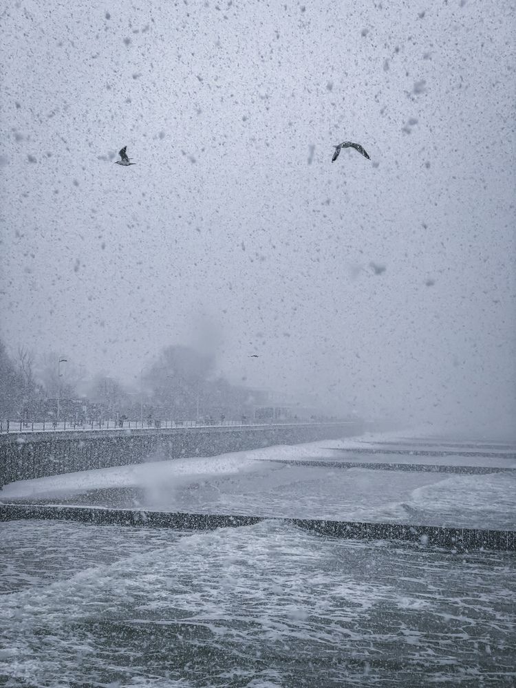 Photograph by Tanya Nikorovskaya