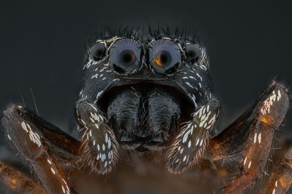 Photograph by Ganev Tsvetan