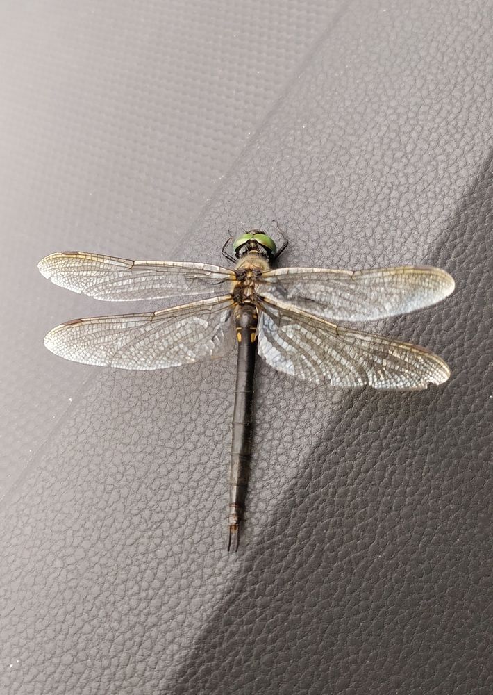 Photograph by Анна