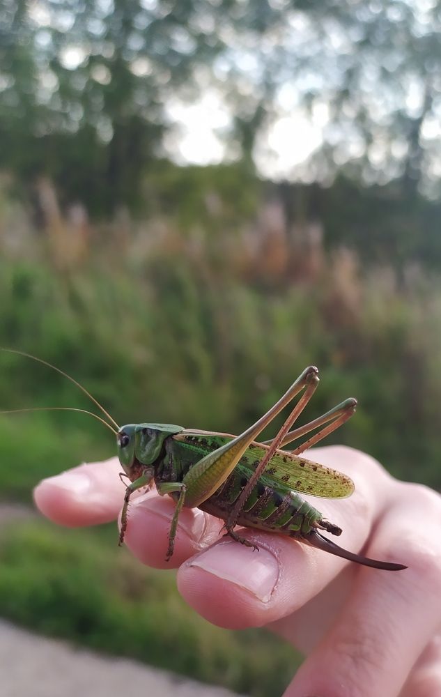 Photograph by Анна