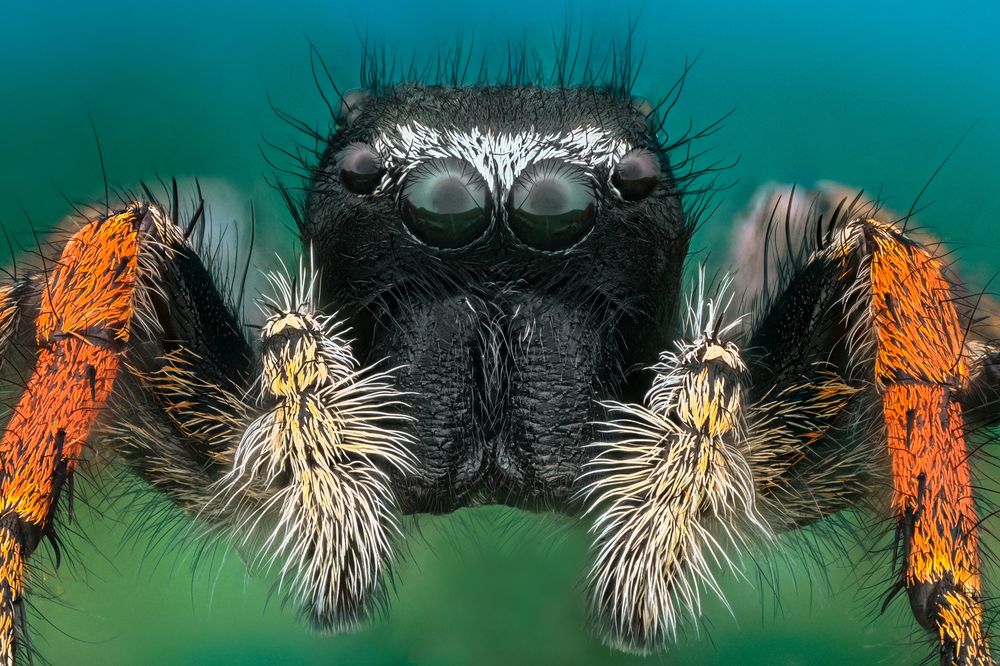 Photograph by Ganev Tsvetan