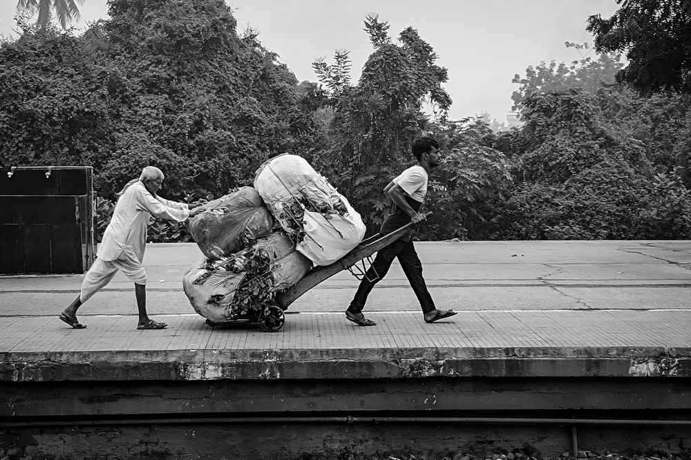 Photograph by Irfan Habib