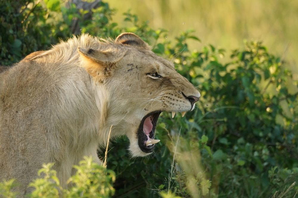 Photograph by Игорь Чебунин