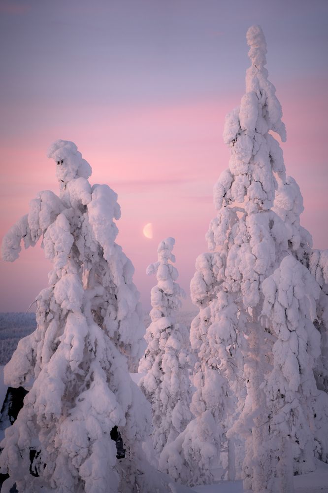 Photograph by Bosko Ivic