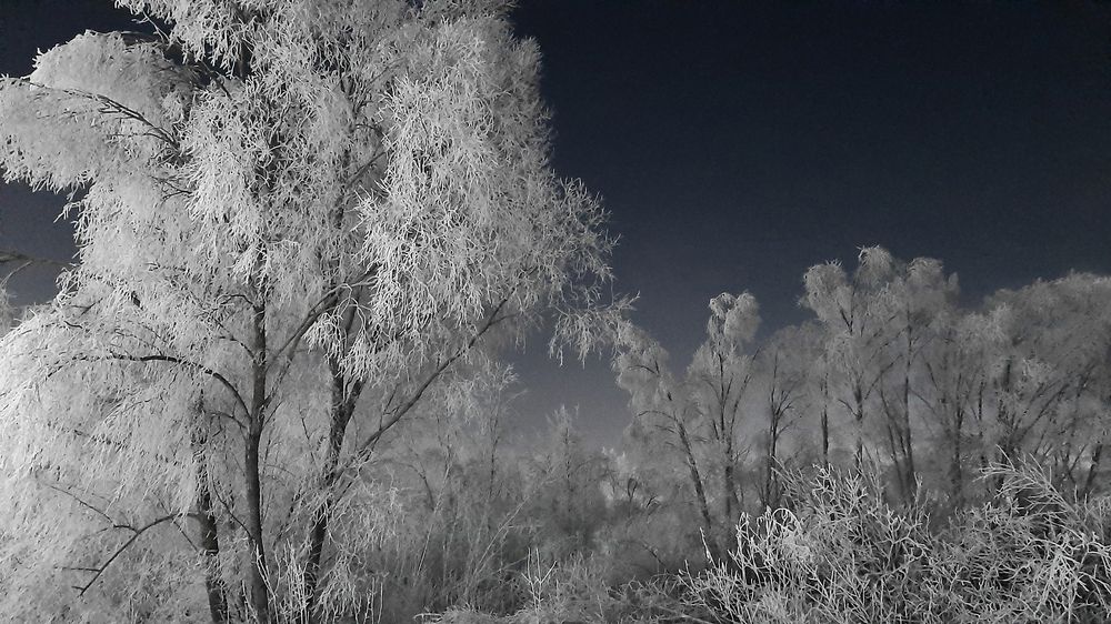 Photograph by Светлана Прокофьева