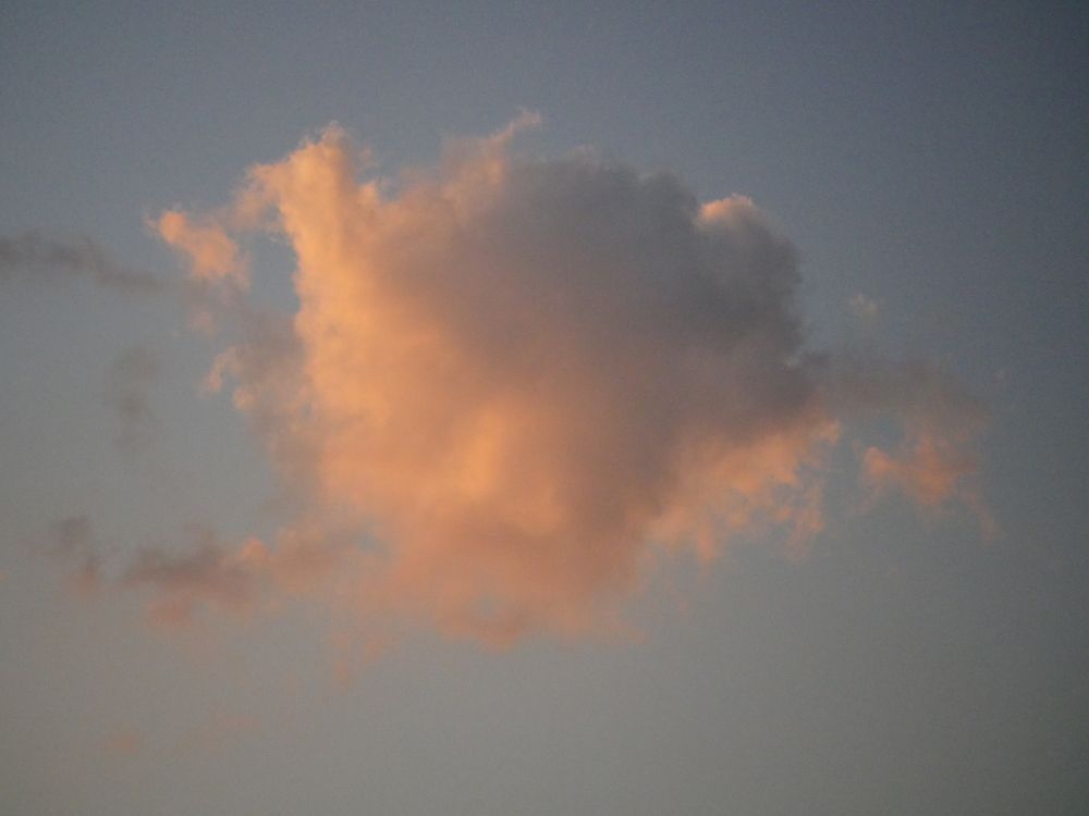 Photograph by ИуИлЪ T @EyEL_xxx