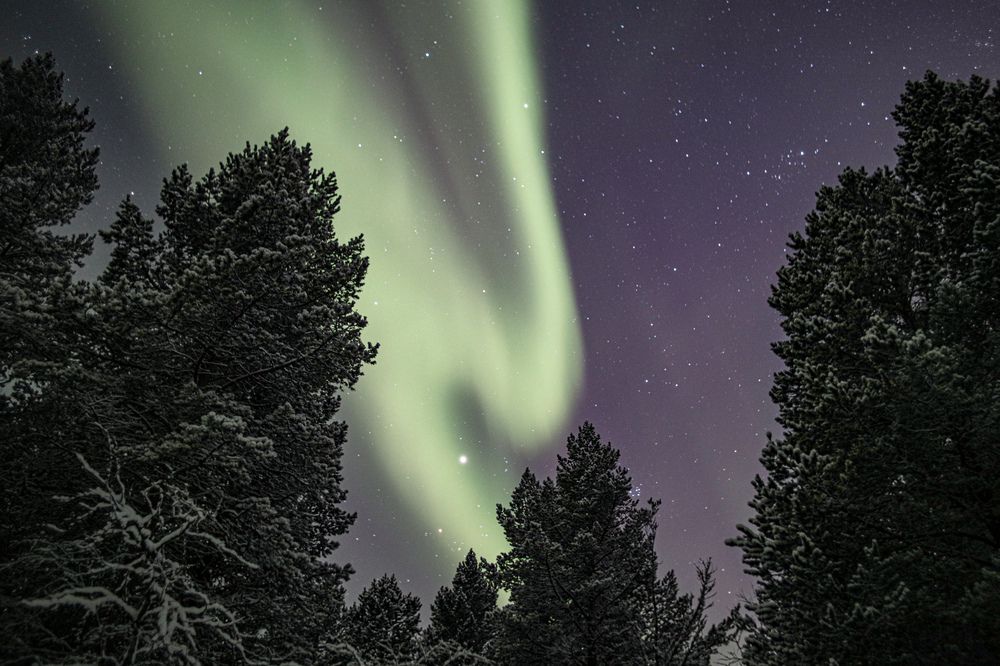 Photograph by Alina Bystrova