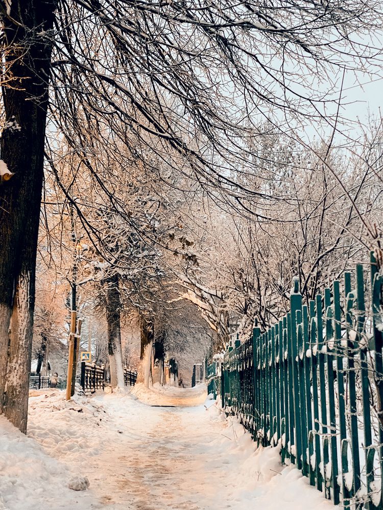 Photograph by Valeria Morozova