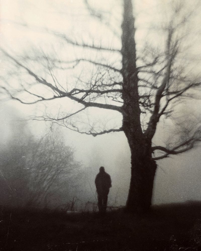 Photograph by Moga Alexandru