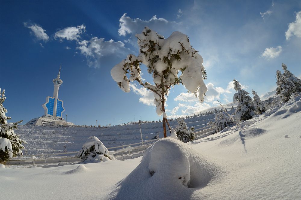 Фотография автора Игорь Ломов