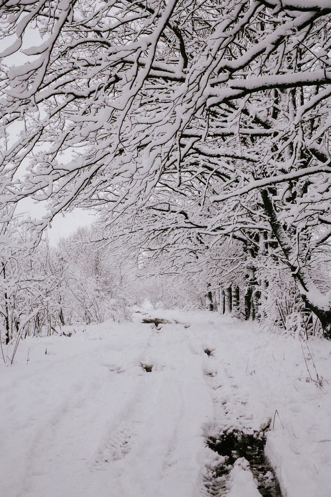 Photograph by Dmitriy Stepanov