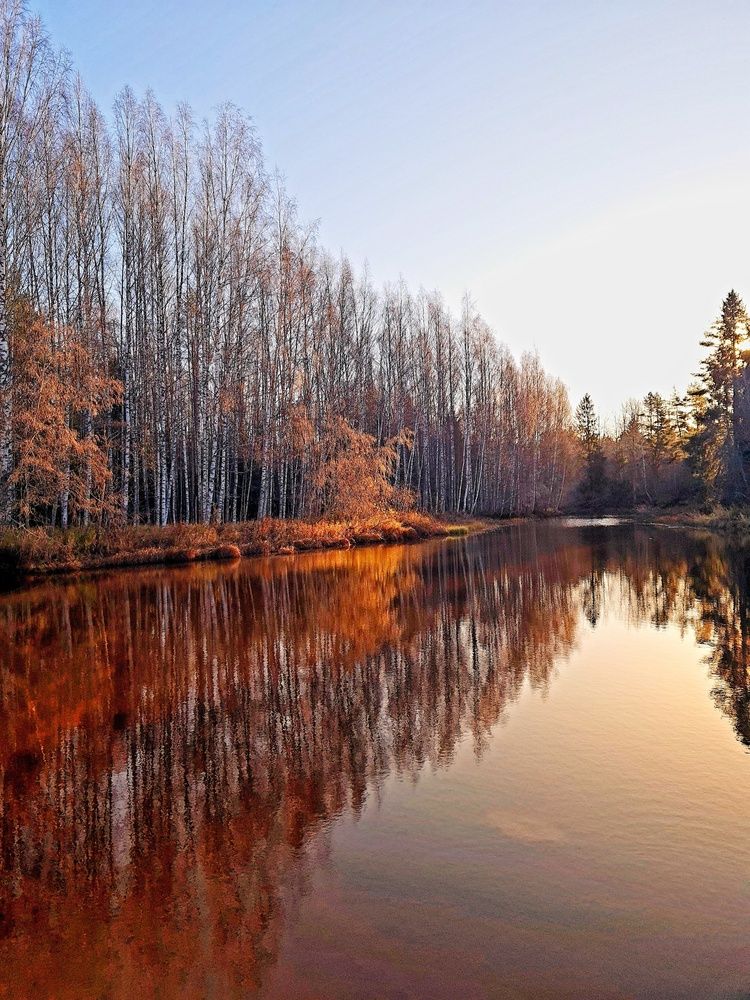 Photograph by Инна Мухина