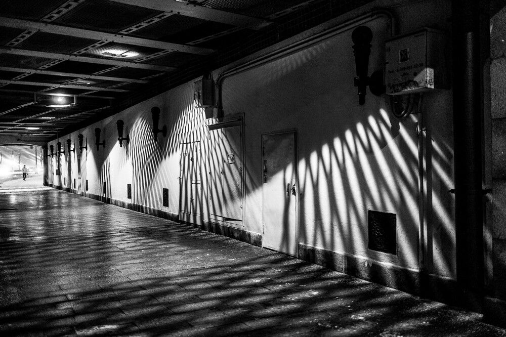 Photograph by Алексей Гильберт