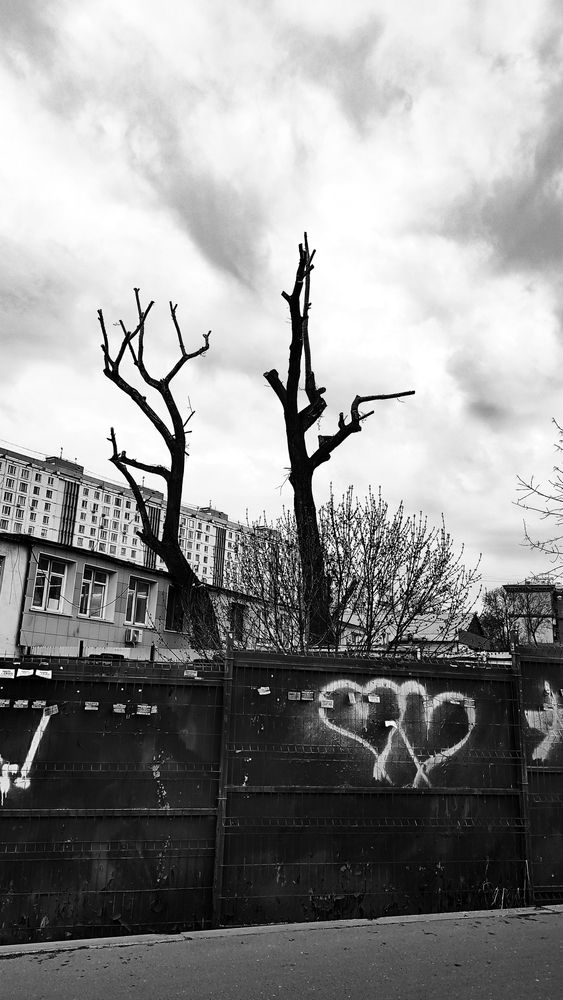 Photograph by Selina Marina