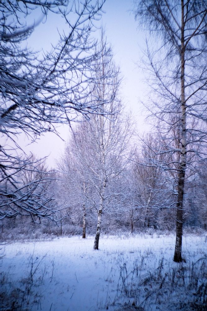 Photograph by Алексей Кацан