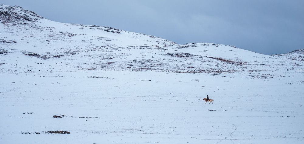 Фотография автора Renat Mansurov