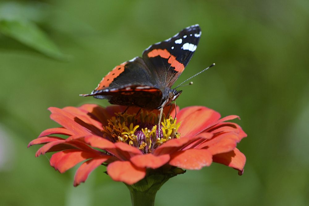 Photograph by Соколова Елена