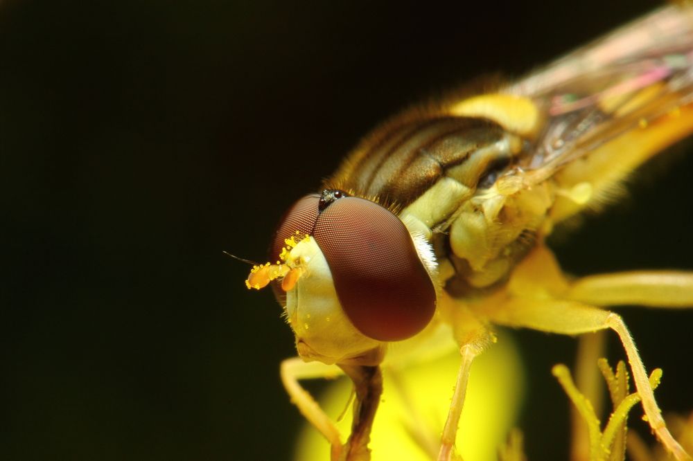 Photograph by Алексей Соколов