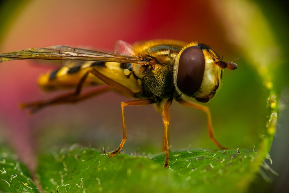 Photograph by Алексей Соколов