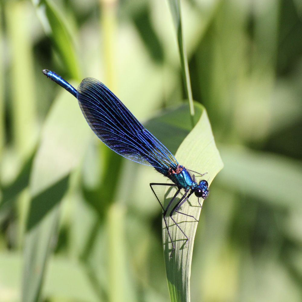 Photograph by Герман