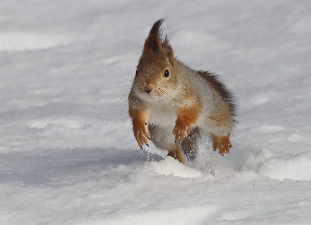Photograph by Сергей Маслов