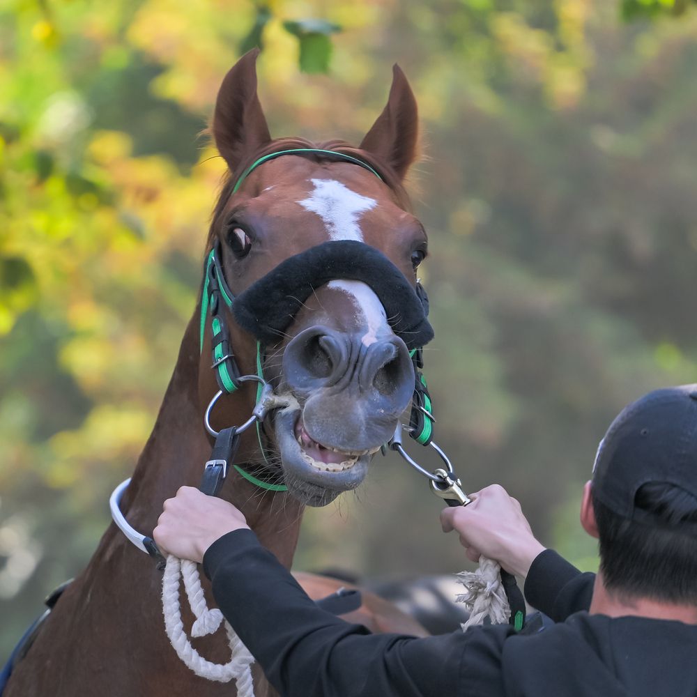 Фотография автора Владимир Пронин
