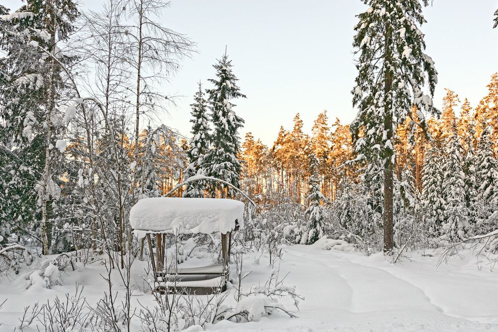 Photograph by Андрей Симаков