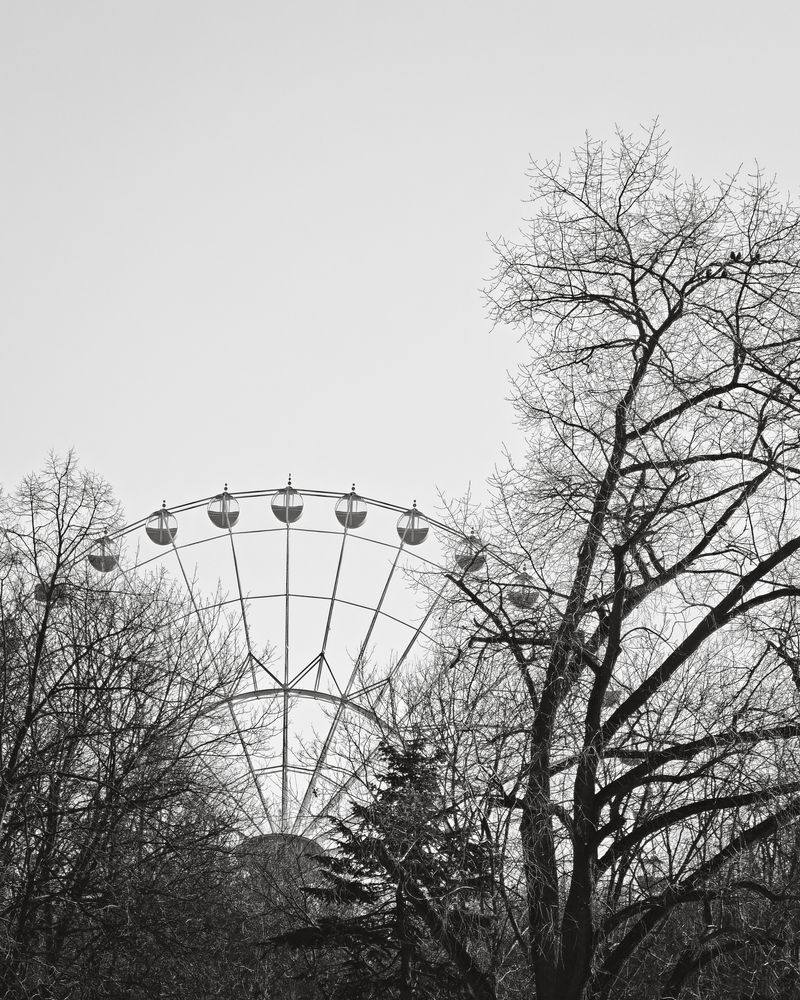 Photograph by Игорь Евдосеев