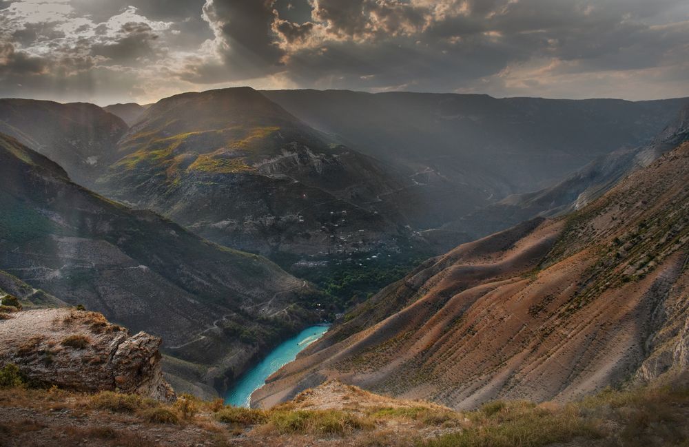 Photograph by Дарья