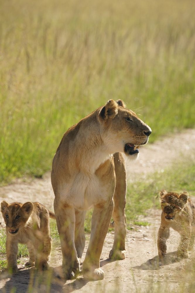 Photograph by Игорь Чебунин