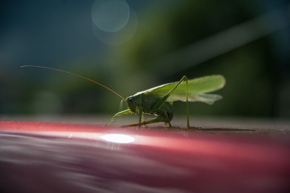 Photograph by Ирина Яук