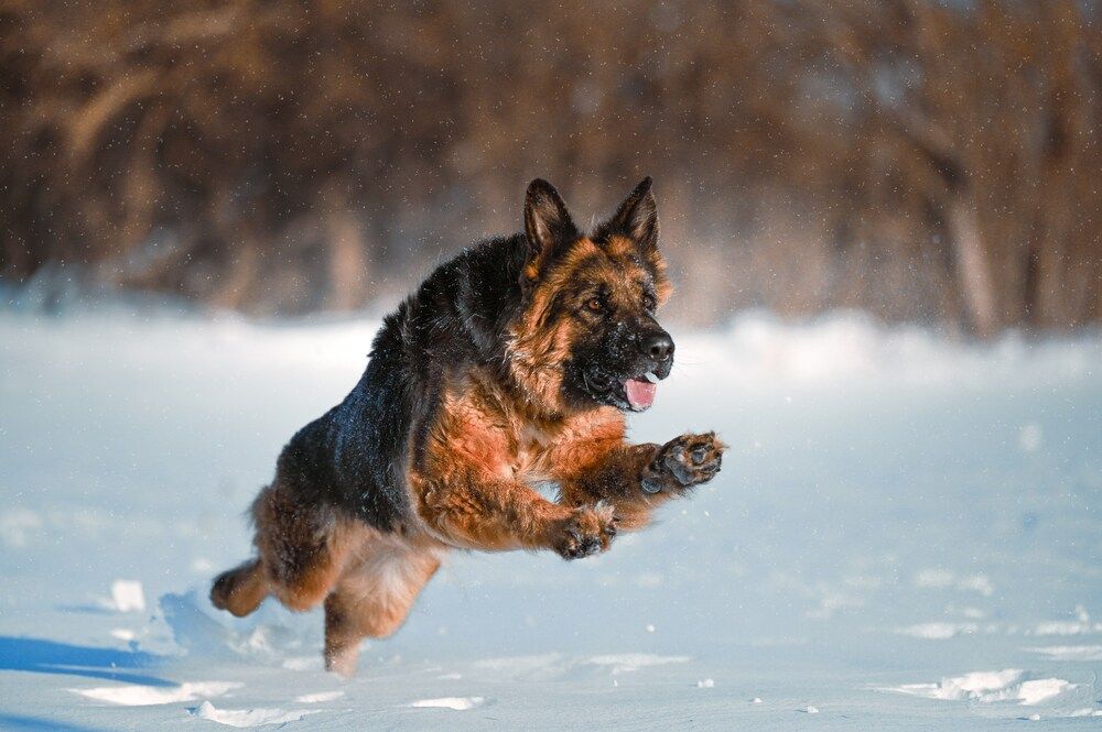 Photograph by Марина