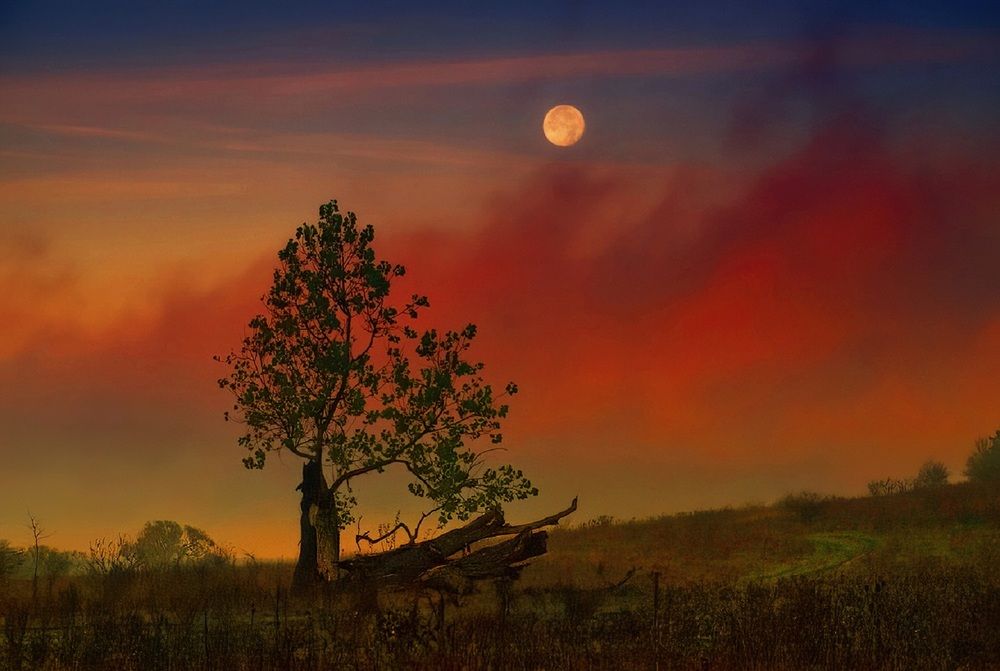 Photograph by Владимир