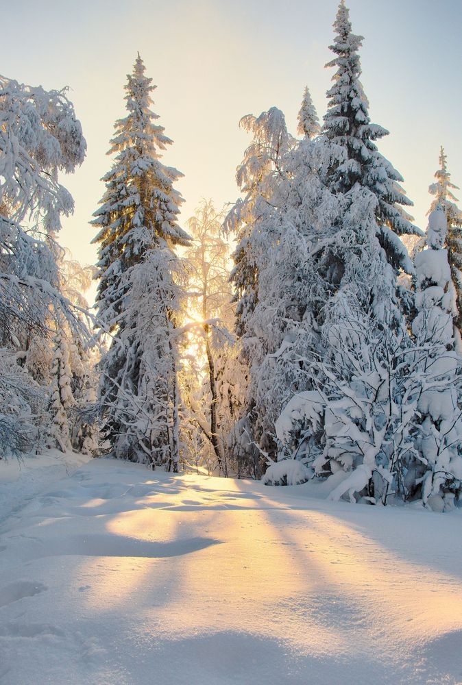 Фотография автора Ketov Vladimir