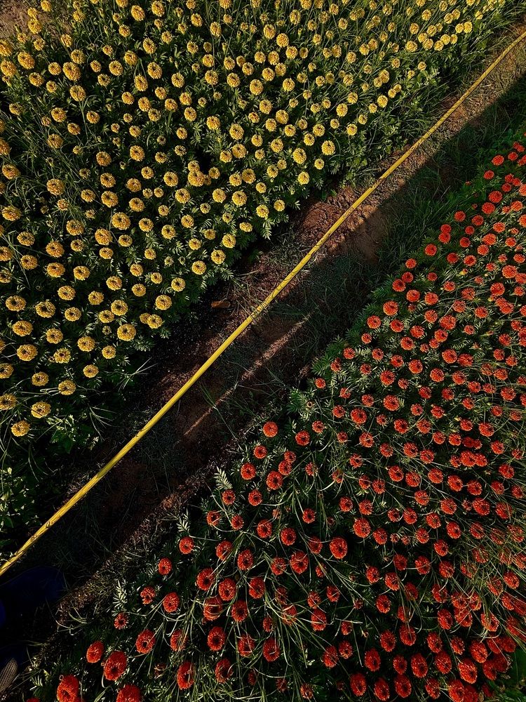 Photograph by Zubair Irshad