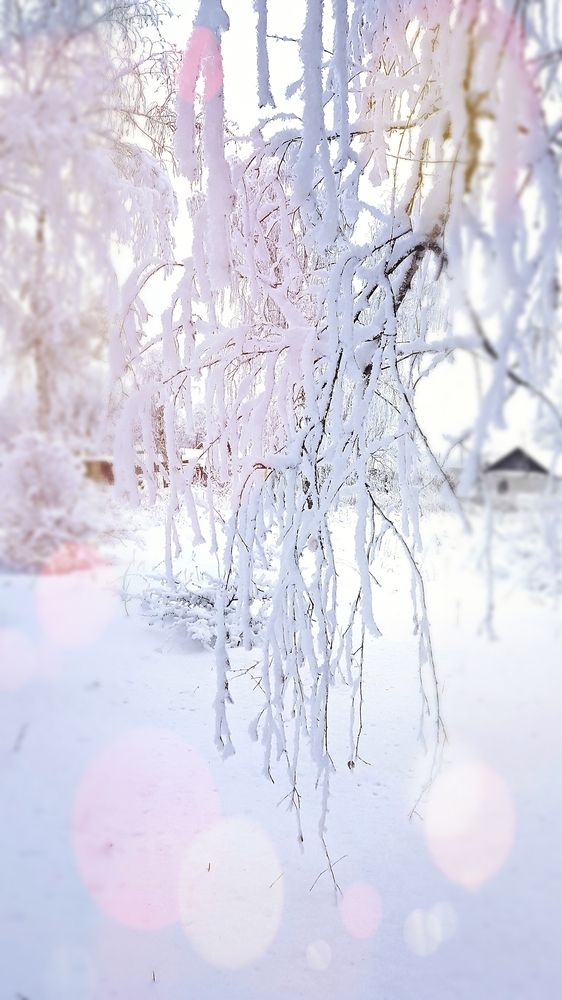 Photograph by Сергей Синьков