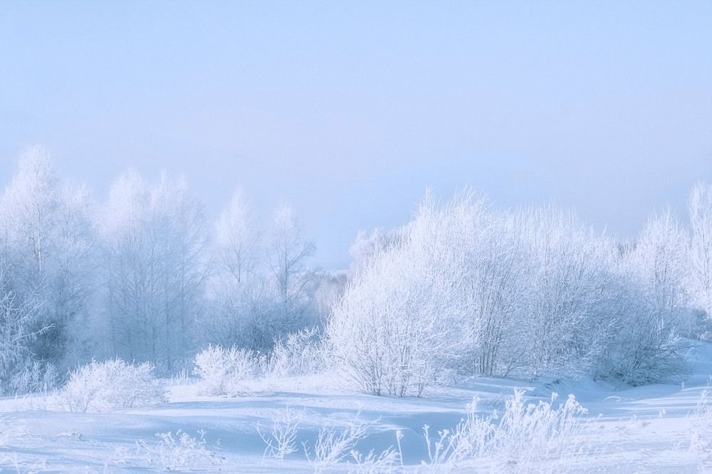 Photograph by Юлия Лушникова