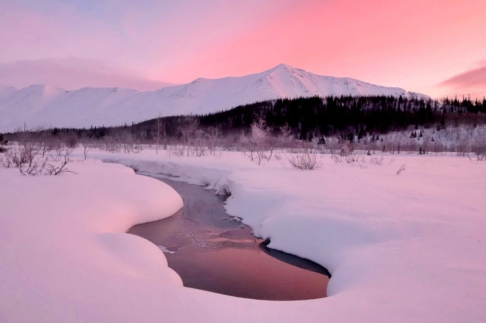 Photograph by Добролюбова Тамара