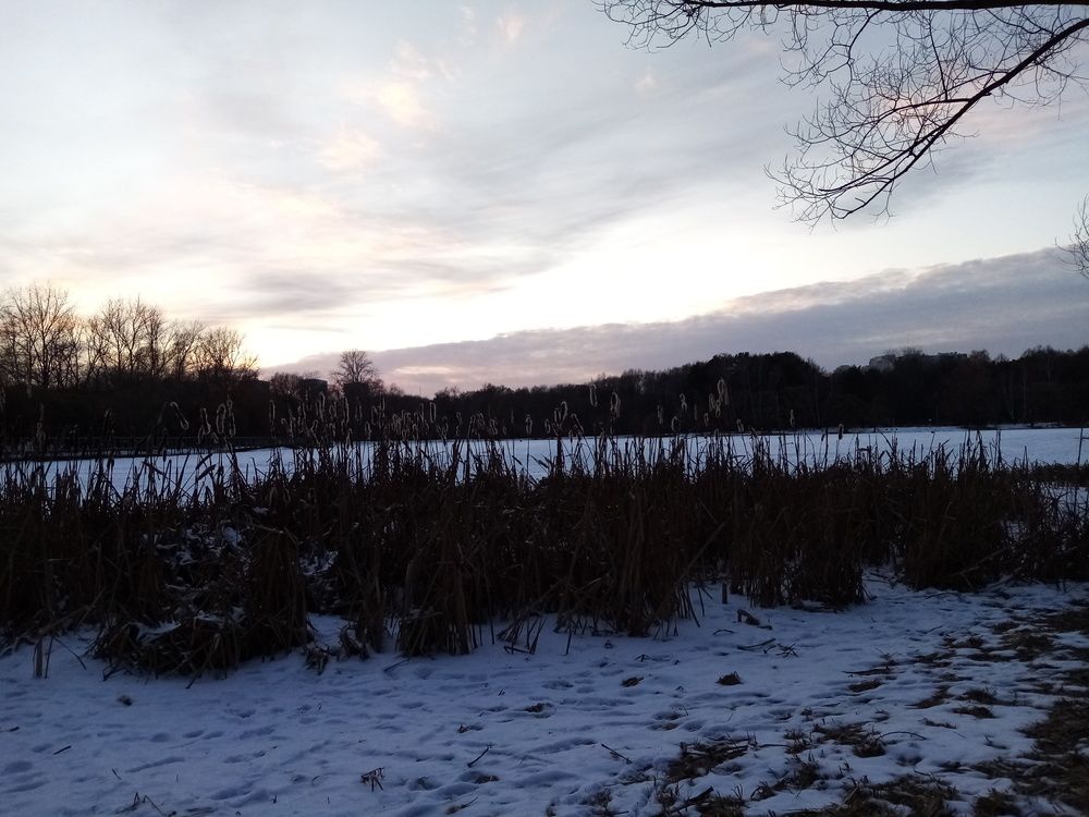 Фотография автора Наталья Визер