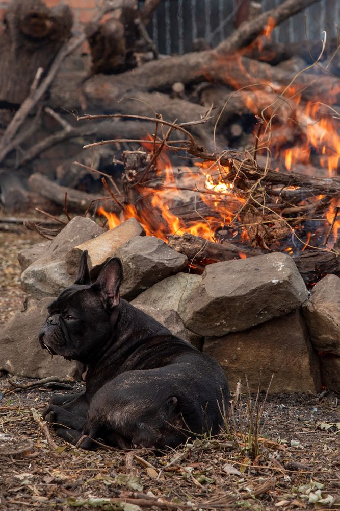 Photograph by Оксана Быковская