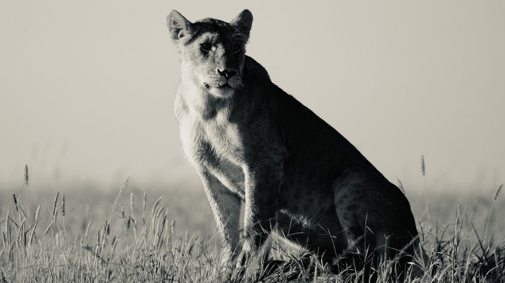 Photograph by Игорь Чебунин