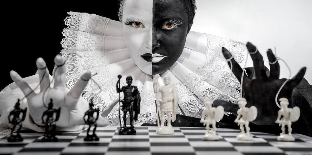 Leadership from the shadows 1