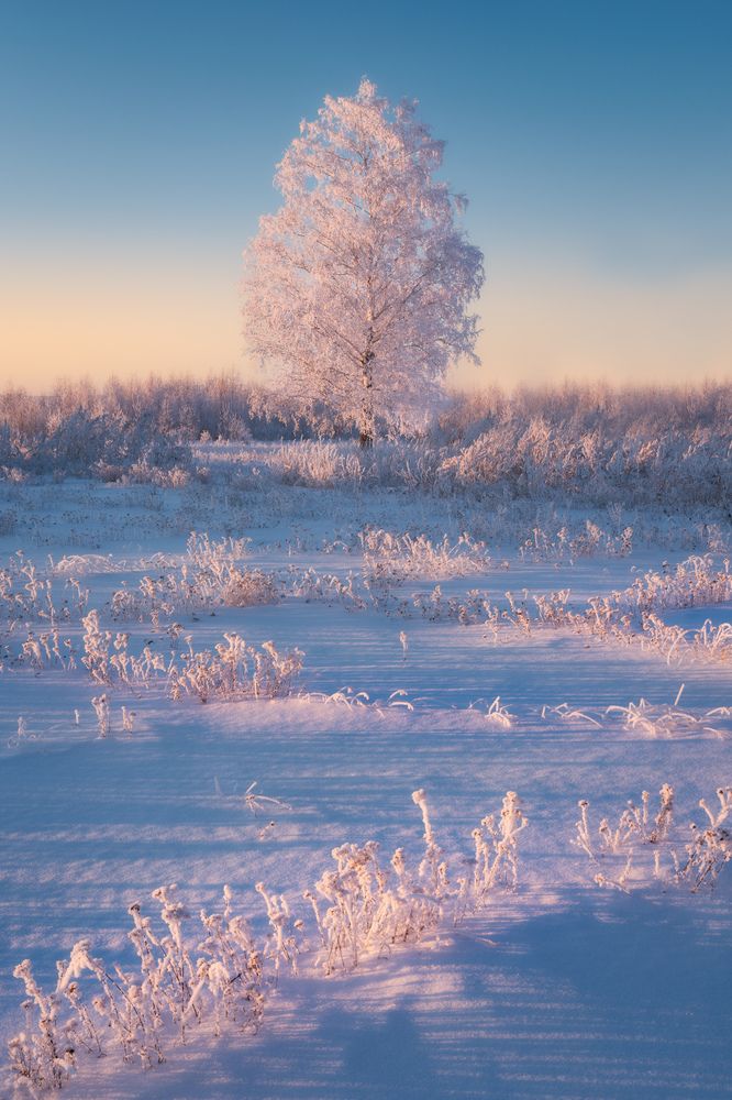 Photograph by Леонтьев Константин